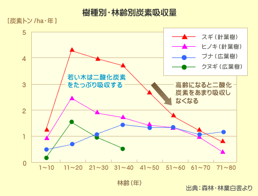 樹種別・林齢別炭素吸収量