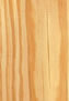 「サザンイエローパイン」（マツ科　Pinus elliottiiを含む米国南部諸州に分布するマツ属の樹種）