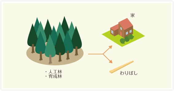 木づかいは「日本の森林を守る」