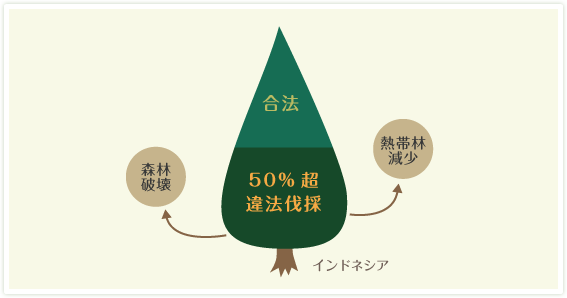 木づかいは「海外の森林を守る」