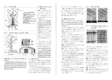 木材の構造・性質と木造住宅